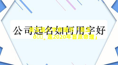 吴玉莲八字命理书「吴玉 🕸 莲2020年盲派命理」